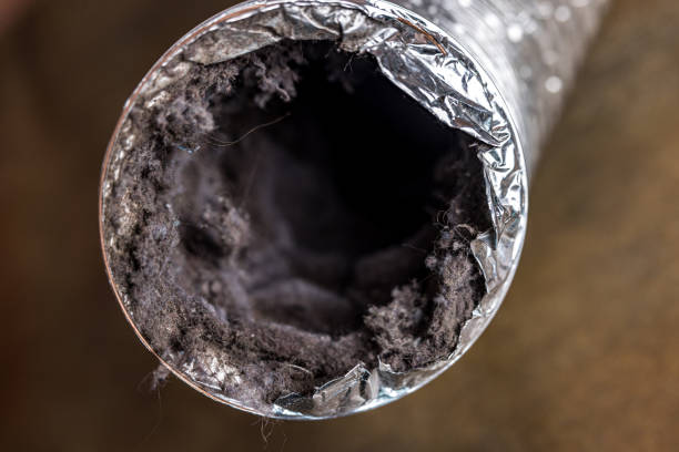 Best Ductwork Cleaning Services  in Clinton, MI
