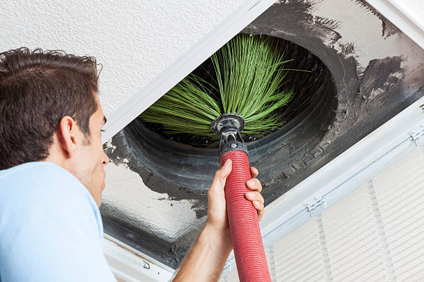 Best Affordable HVAC Duct Cleaning  in Clinton, MI