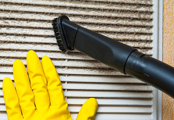 Best Local Air Duct Cleaning Services  in Clinton, MI